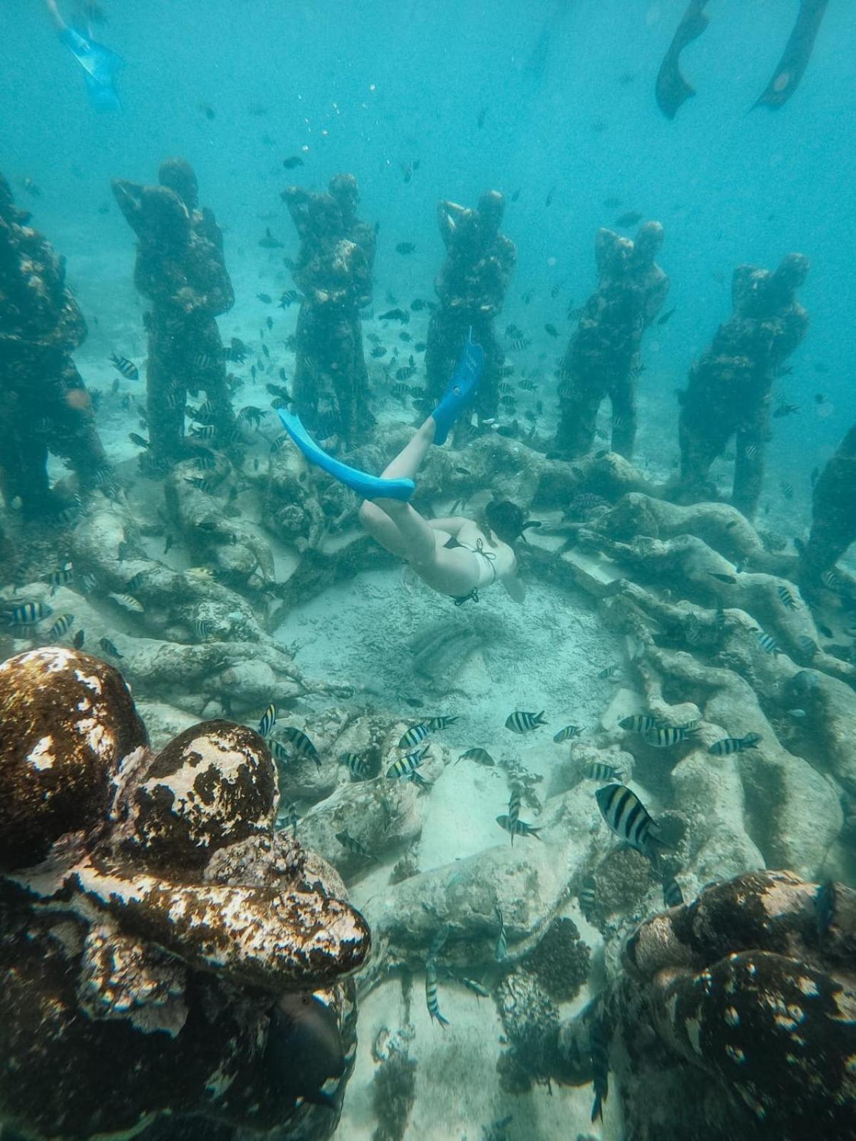 Tipsea Turtle Gili Air Hotell Exteriör bild